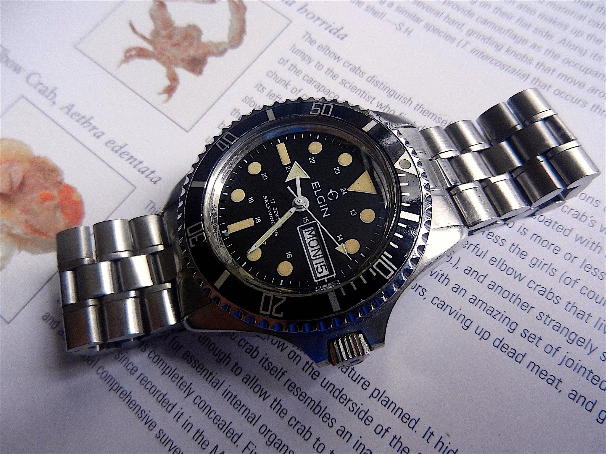 Watch, Elgin