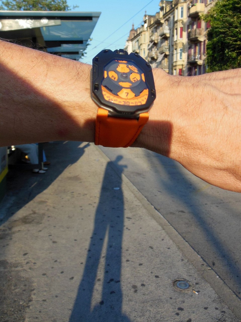 Long shadows in the morning