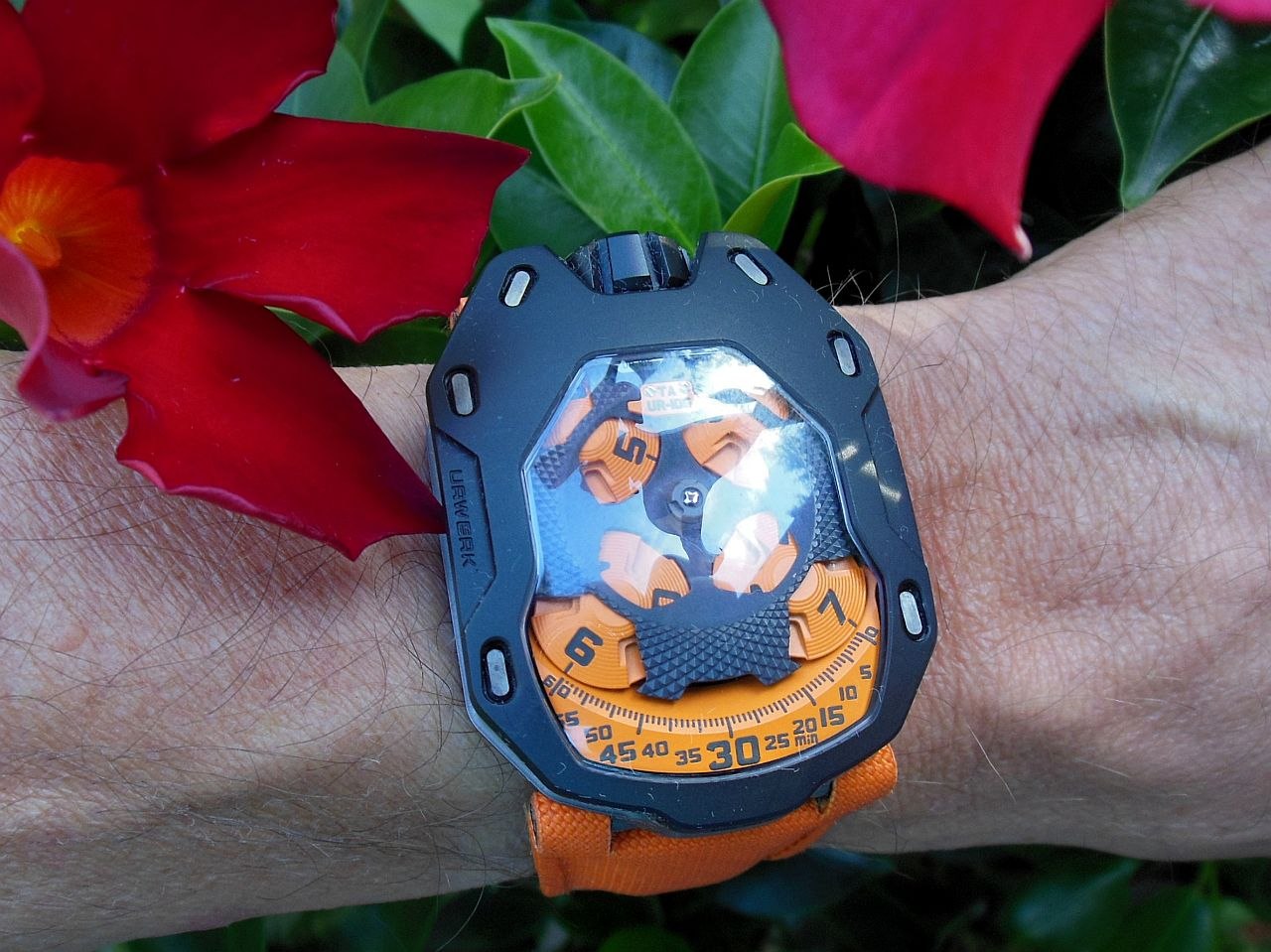 A flower among others