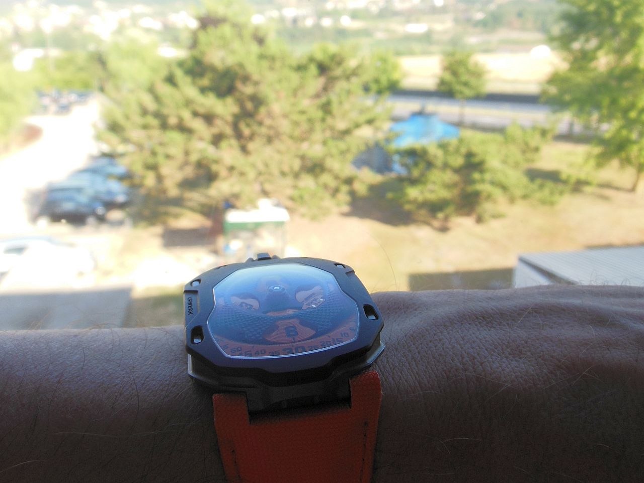 In the morning shadows