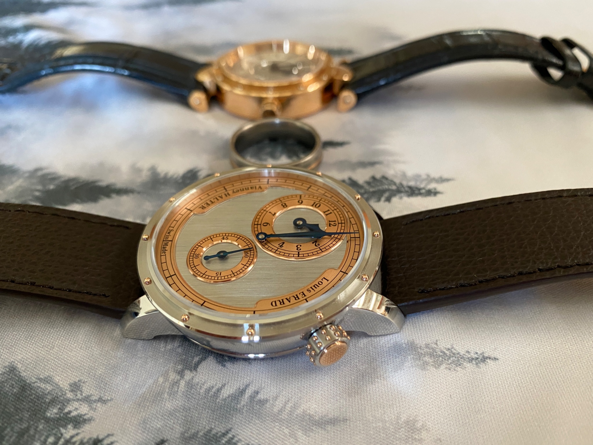 Watch by AHCI and independent haute horlogerie, Vianney Halter, Louis Erard, Le Régulateur