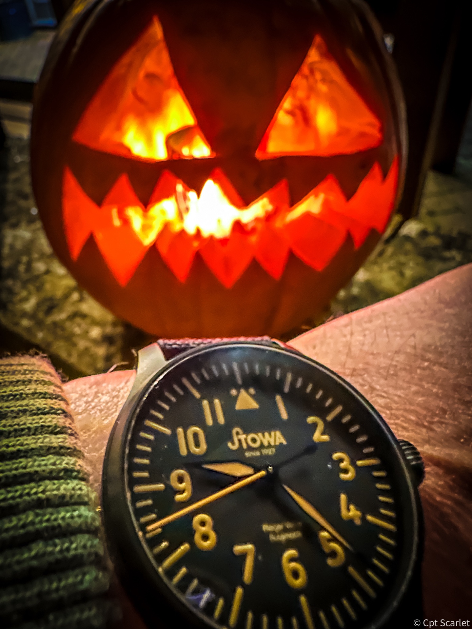 Watch, Stowa, Flieger, Black Forest