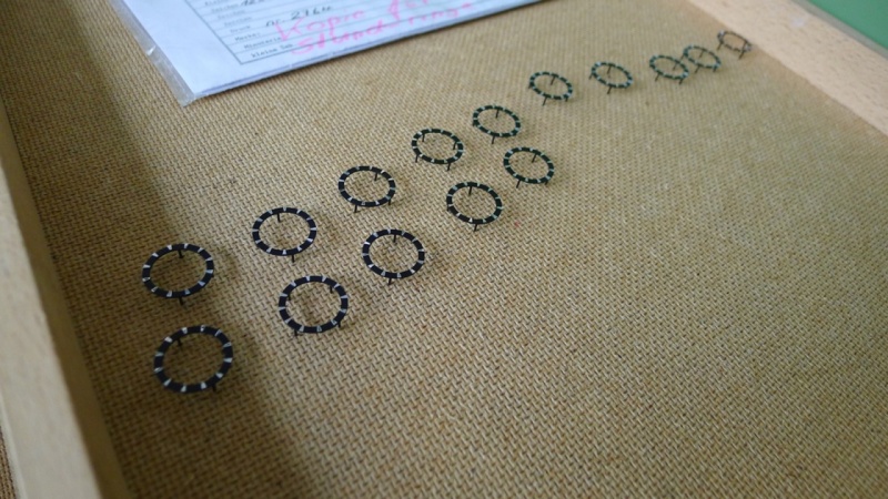 The finished chapter rings