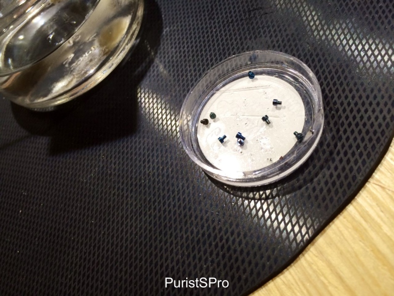 Some blued screws we did