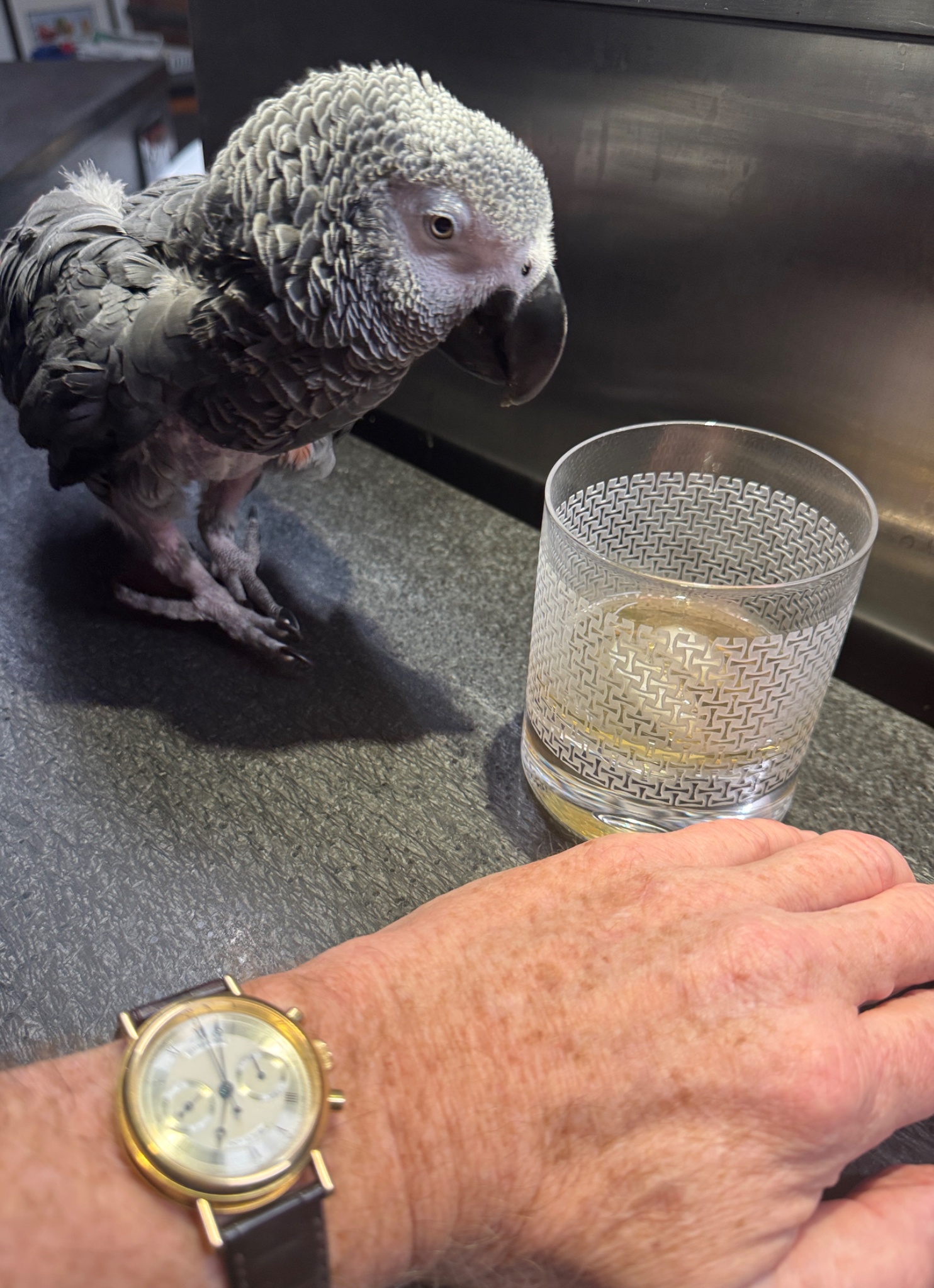 Watch by Breguet, 3237, Classique, Classique Chronograph