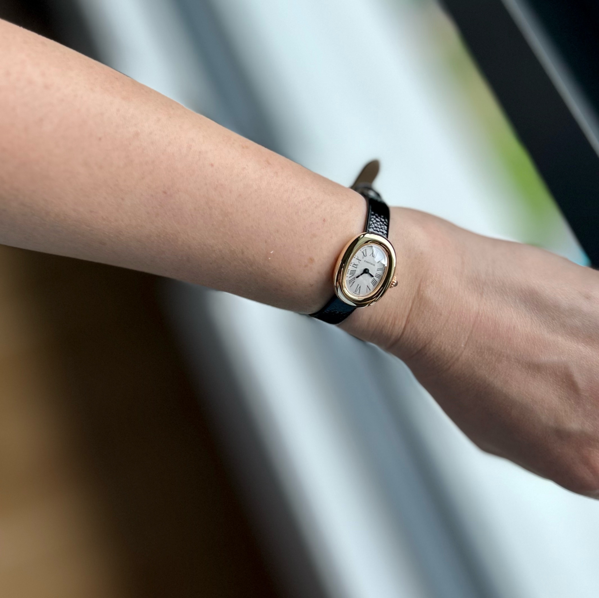 Watch by Cartier, Baignoire