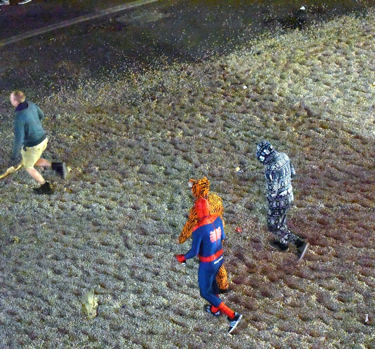 Le Mans fans at night