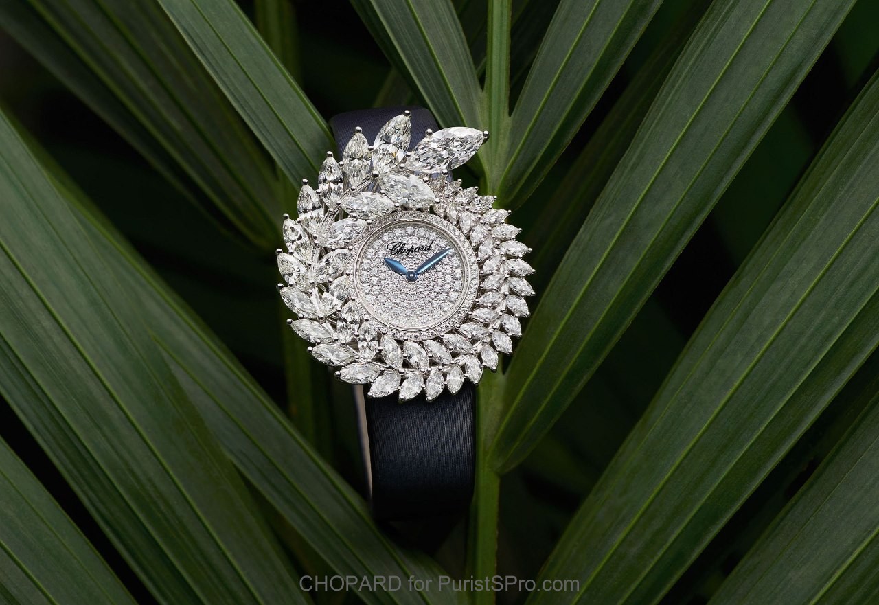 Green Carpet: Palme d'Or inspired watch