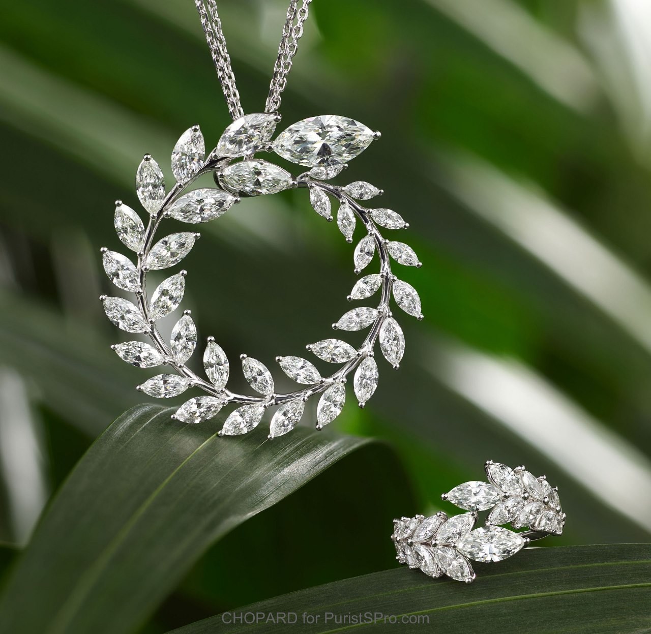 Green Carpet Collection inspired by Palme d'Or