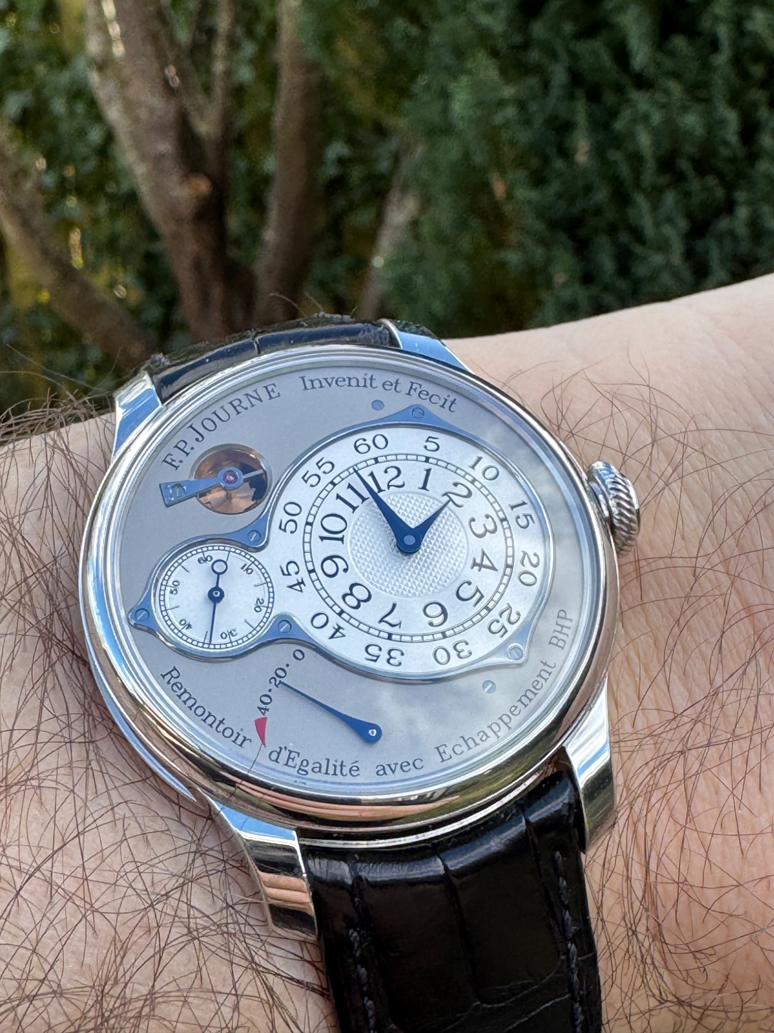 Watch by F.P. Journe, Chronometre, Optimum, CO