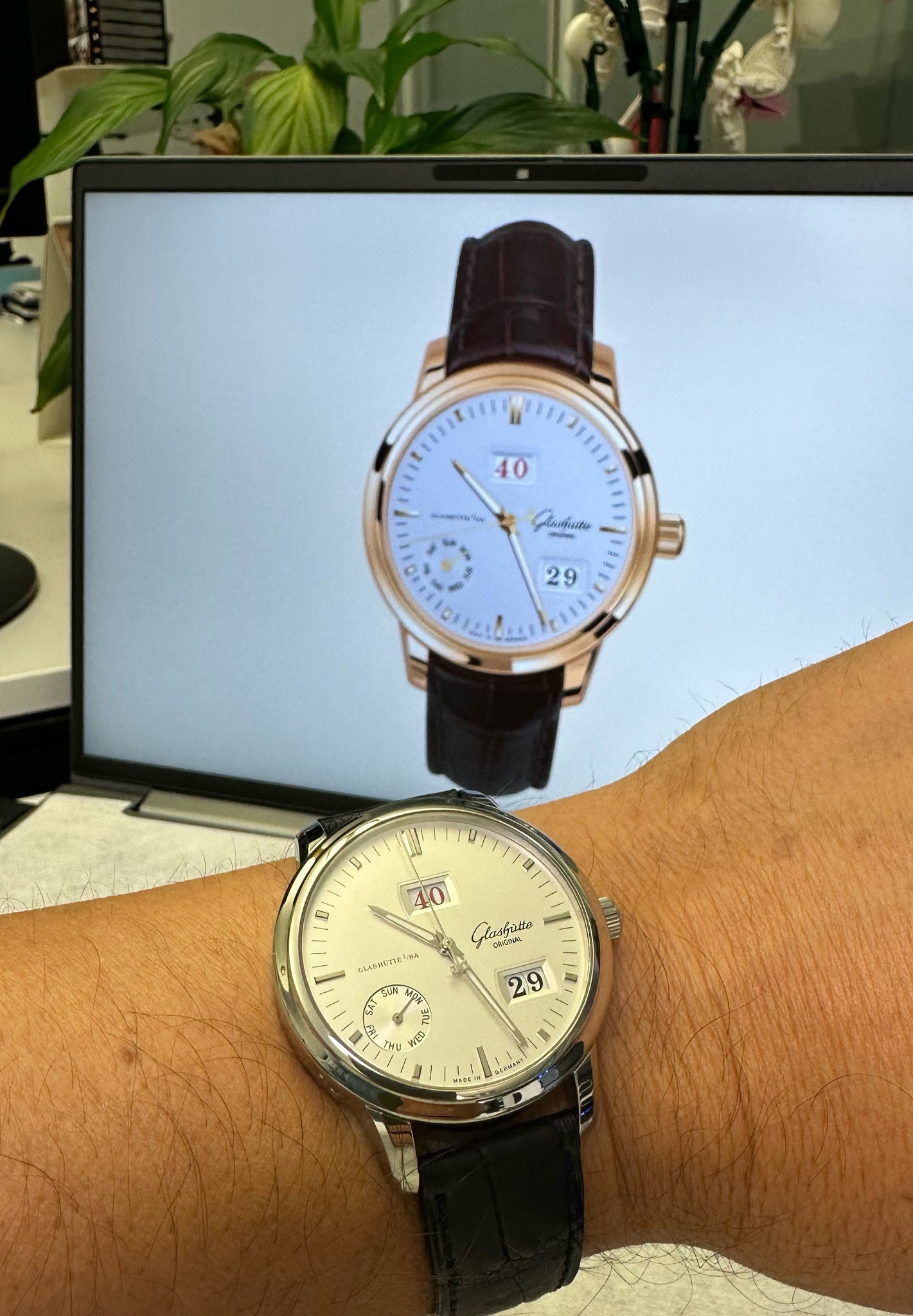 Watch by Glashütte Original, Senator, Senator Perpetual