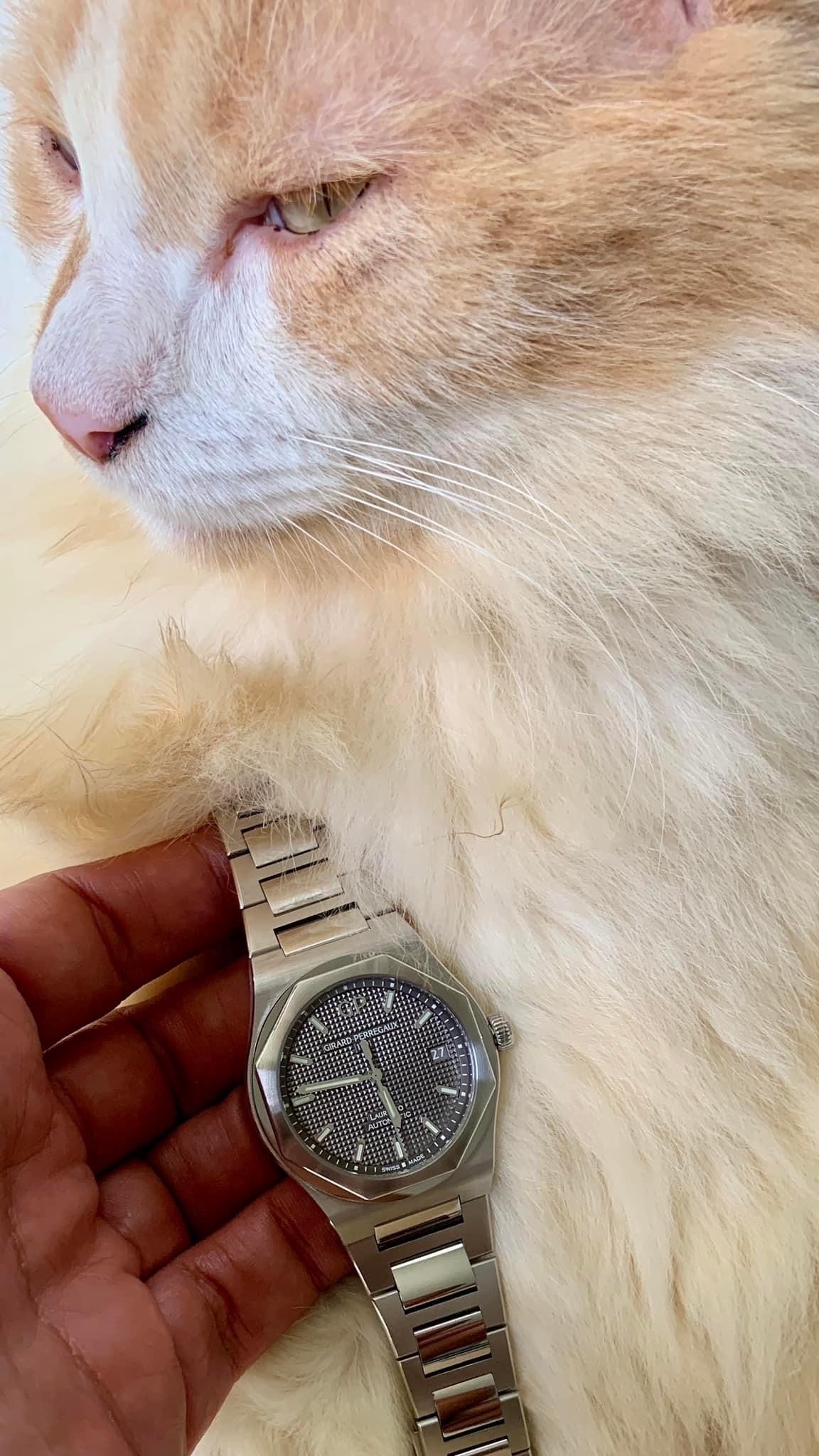 Watch by Girard Perregaux, Laureato, 81010