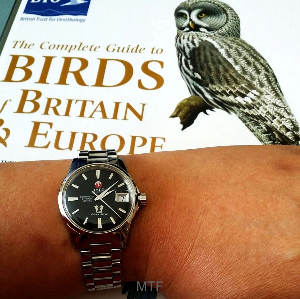 RADO Golden Horse 2007 Re-issue