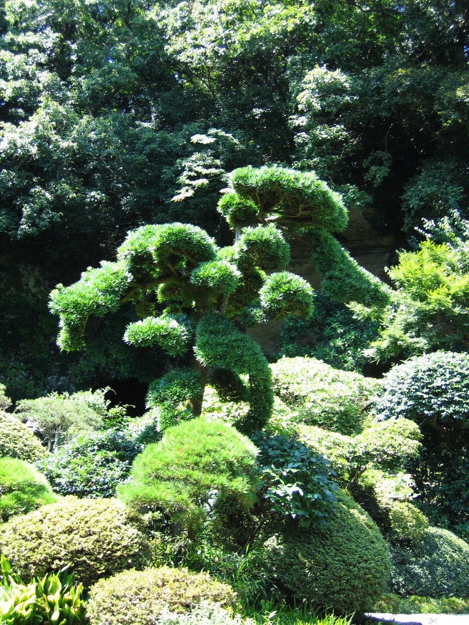 Topiary