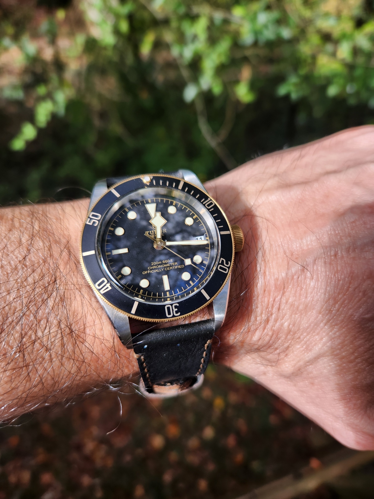 Explore Tudor Black Bay S&G 79733N with gold accents on crown