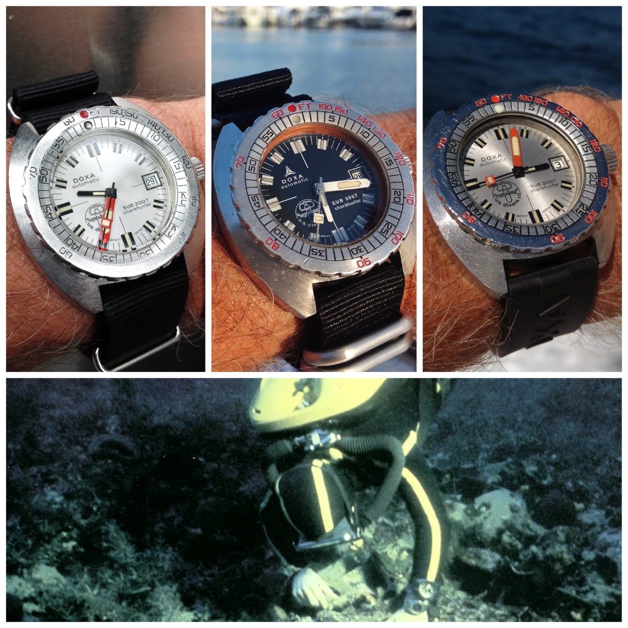 Doxa Sub 300T selection of Sharkhunter