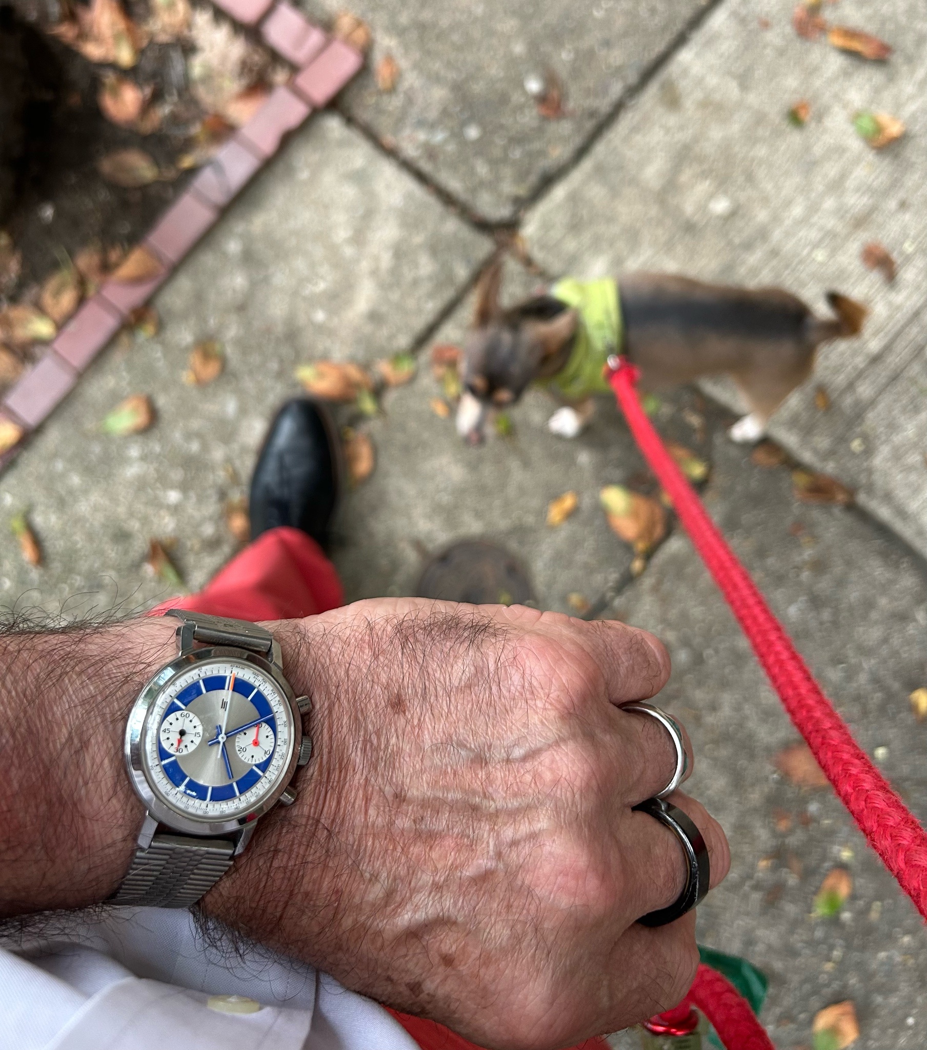 Watch, LIP Paul Newman, LIP, Lip Chronograph