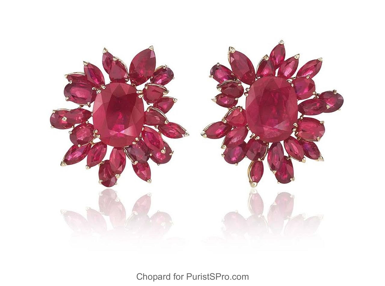 Earrings reference 849810-5001