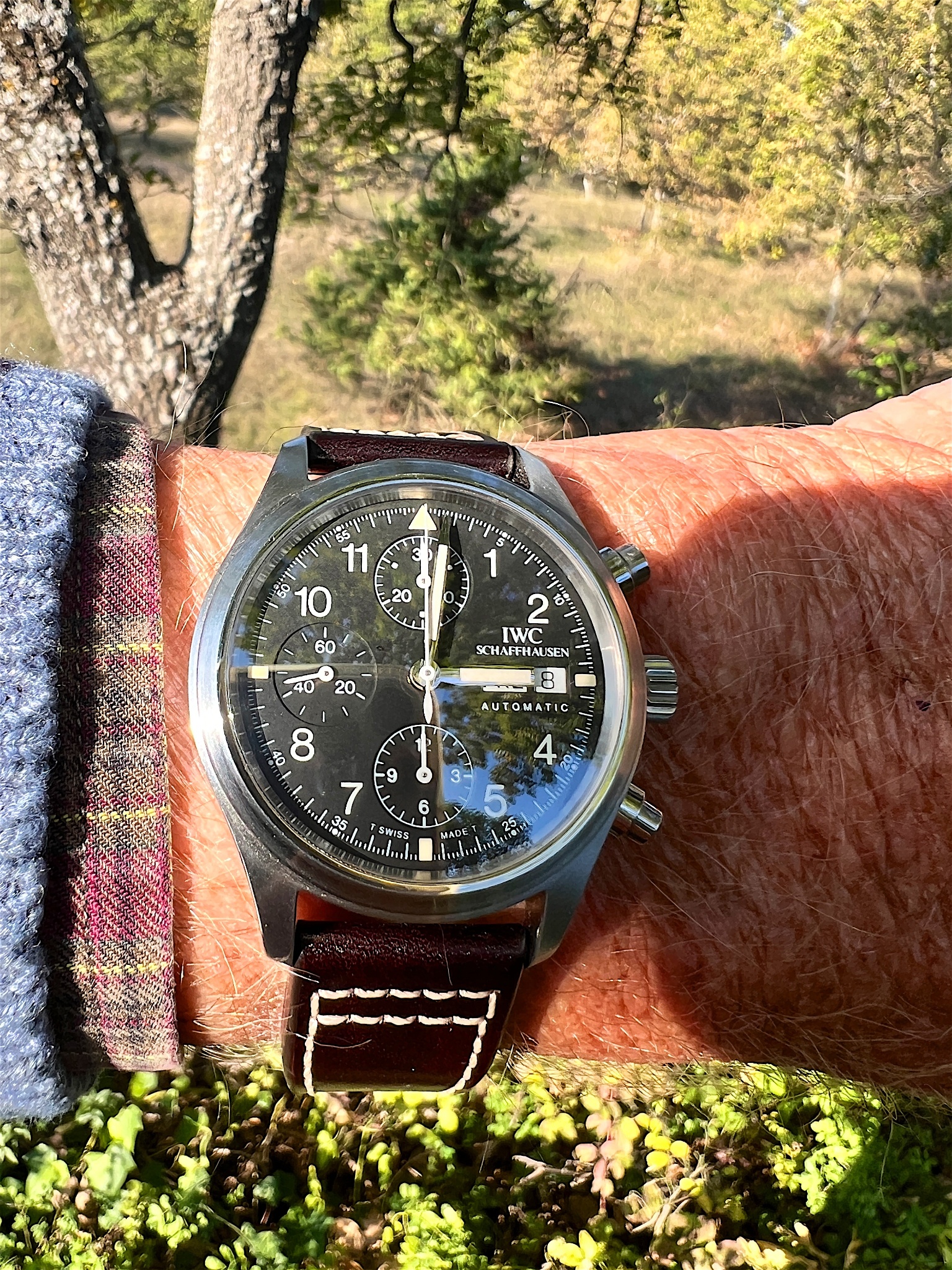Watch by IWC, Pilot