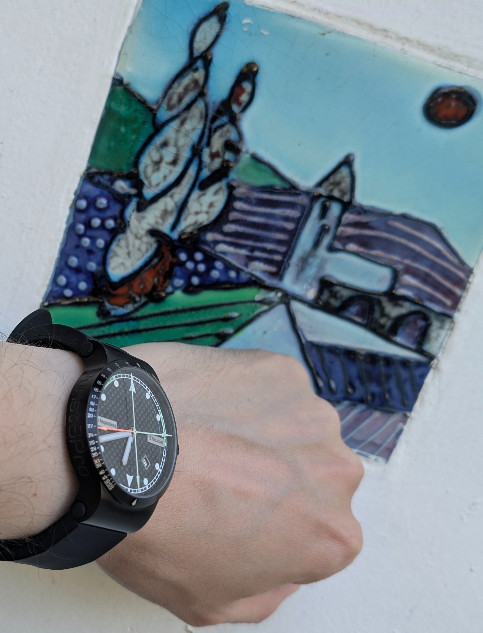 Watch, ST Gallen, PPro ABR