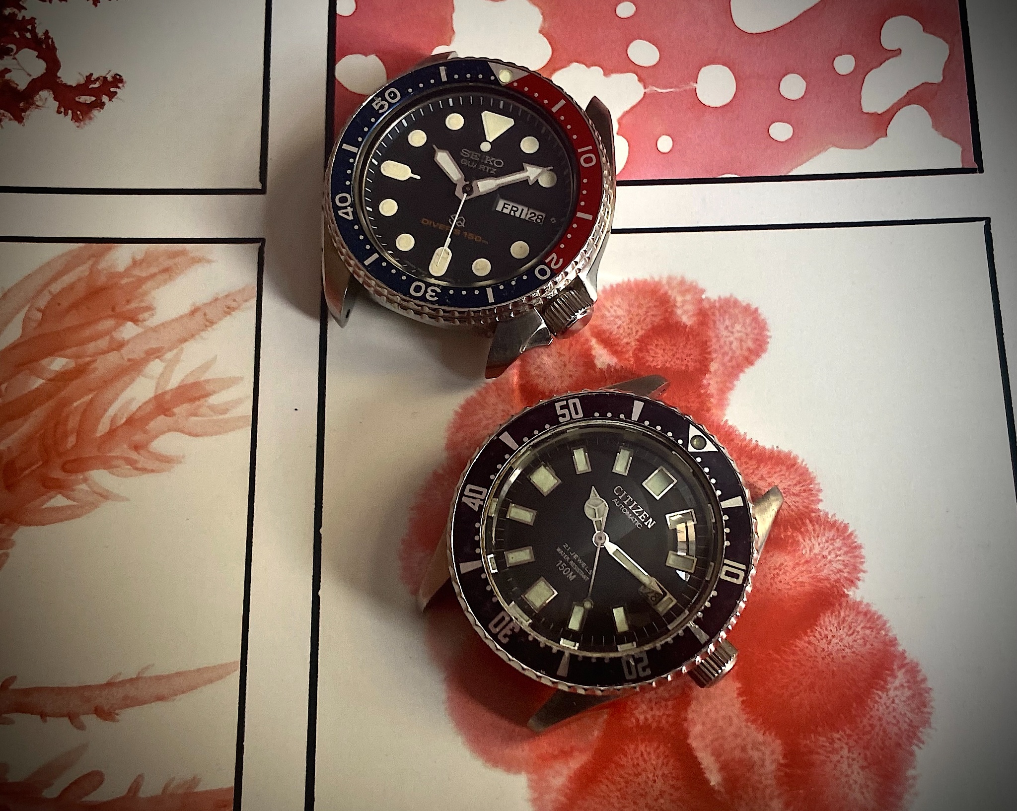 Watch, Citizen, Citizen Divers