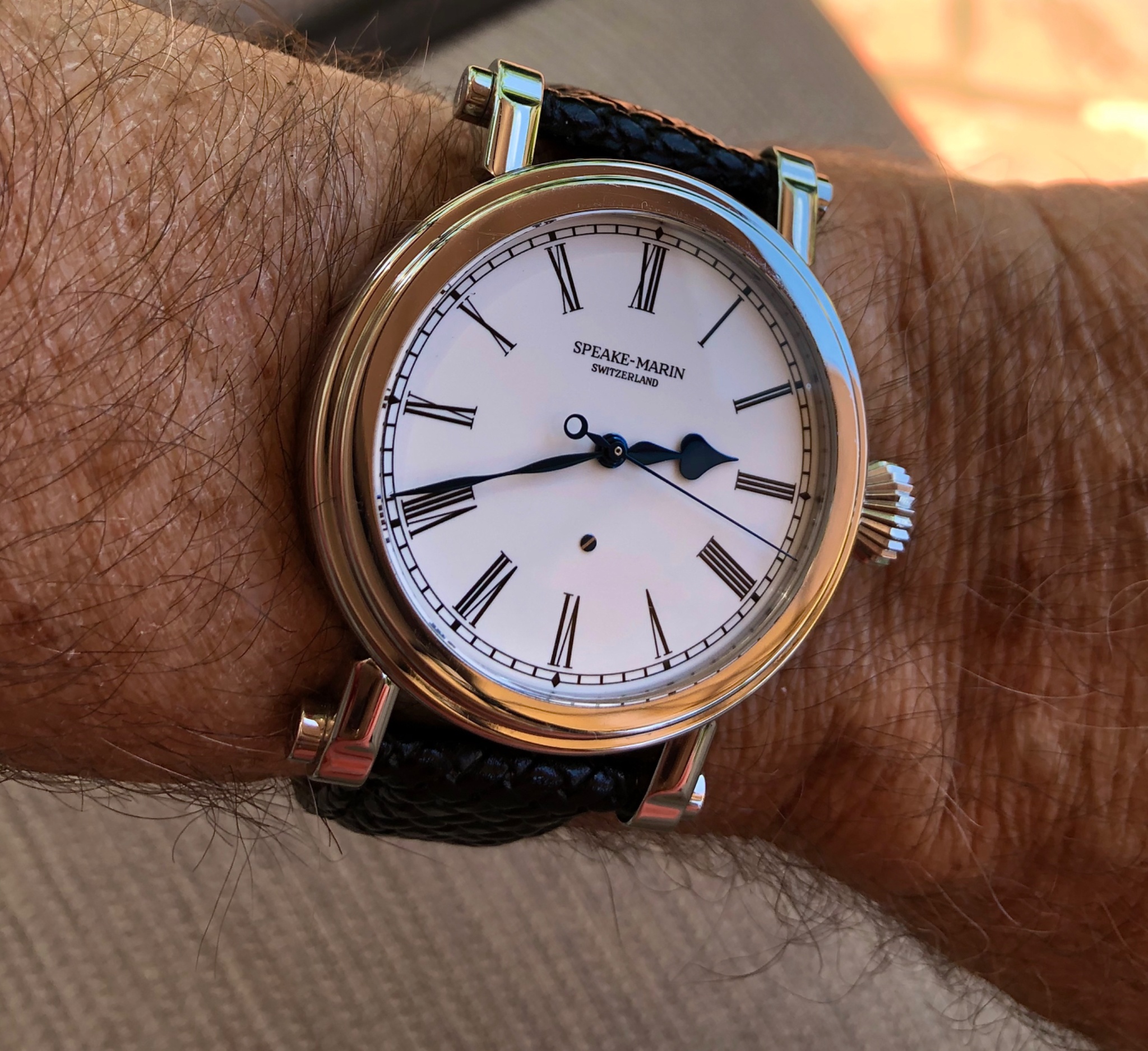 Watch, Speake-Marin, Speake-Marin Classic, Resilience