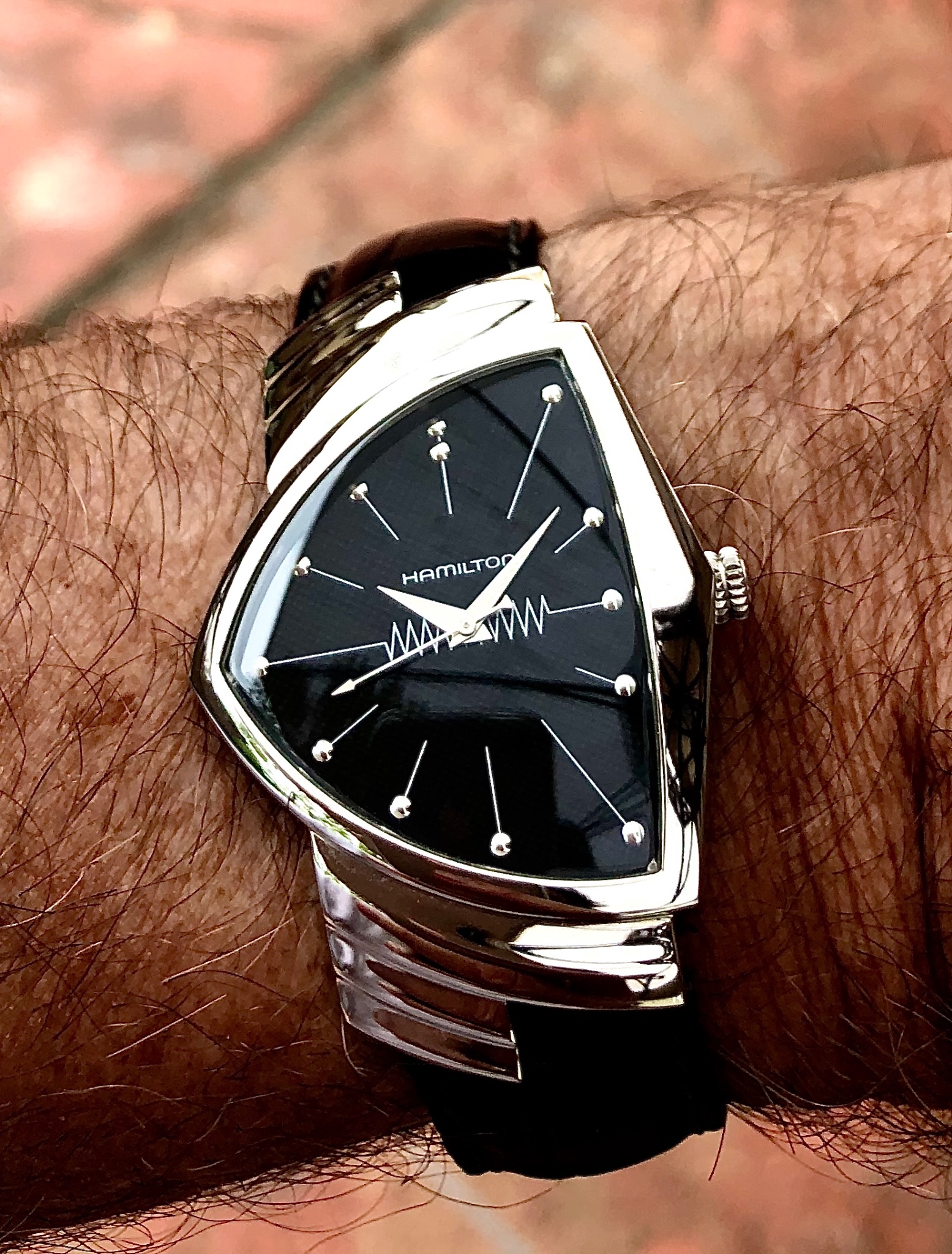 Hamilton Everest Mount Vernon Ventura Watches | Horological