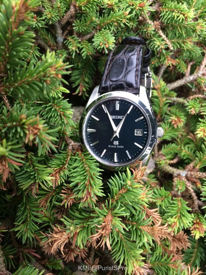 SEIKO Luxury Watch
LimitedEdition
限定モデル Grand Seiko SBGX097 Six-Month Review — WatchProSite Forum Digest