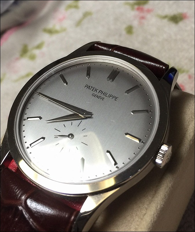 Patek Philippe watch listing
