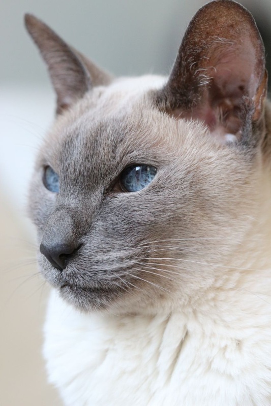 My Avatar and my baby