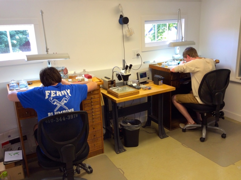 Hard at Work......