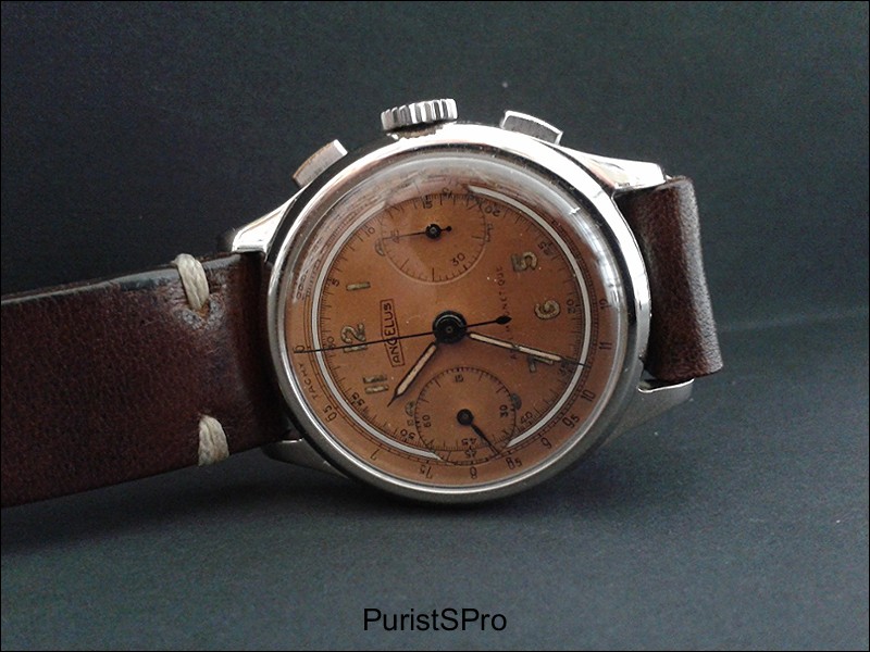 Angelus watch listing