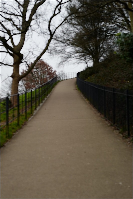 A picture of the path up.