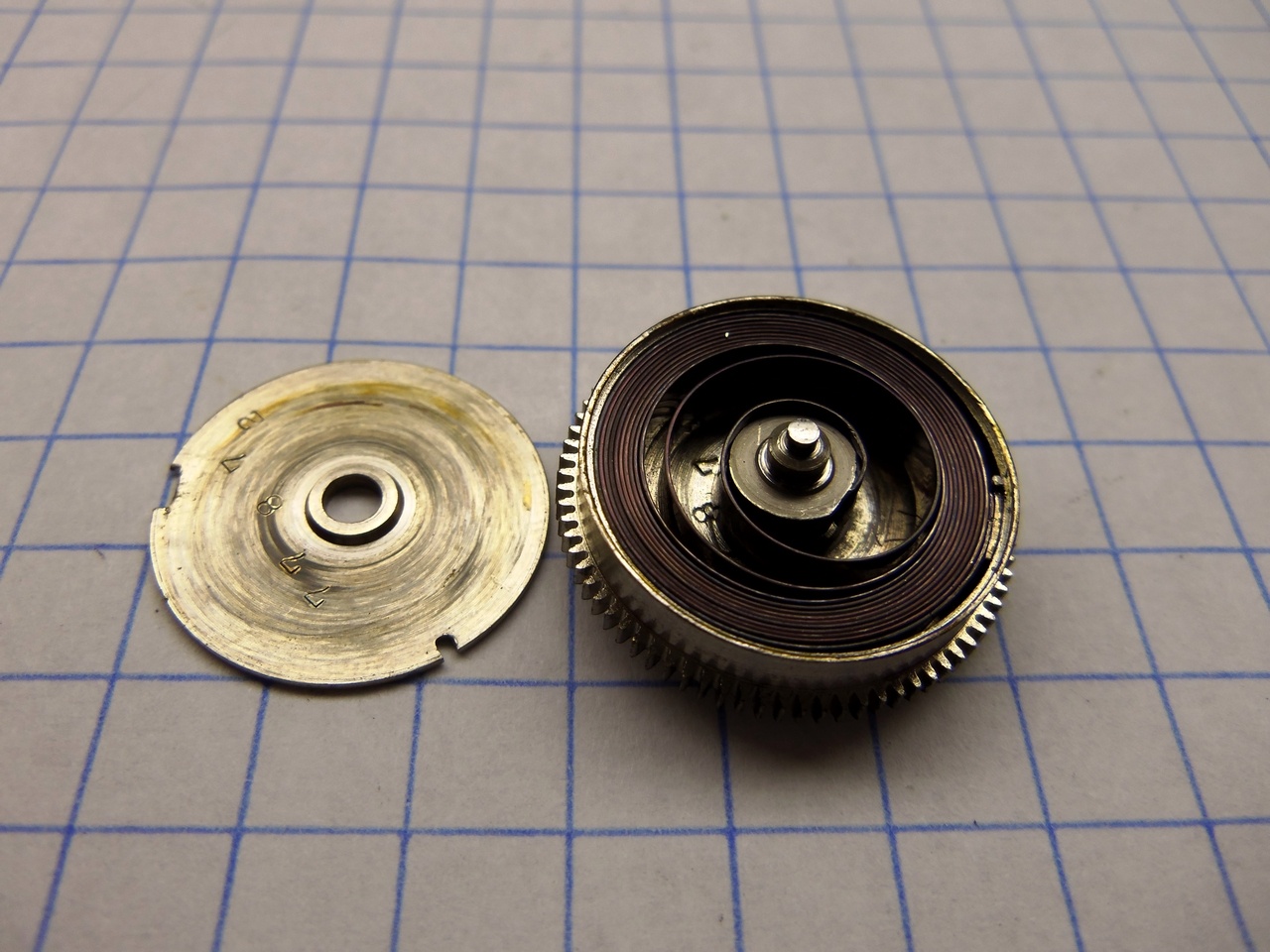Mainspring barrel with lid removed. (blue mainspring)