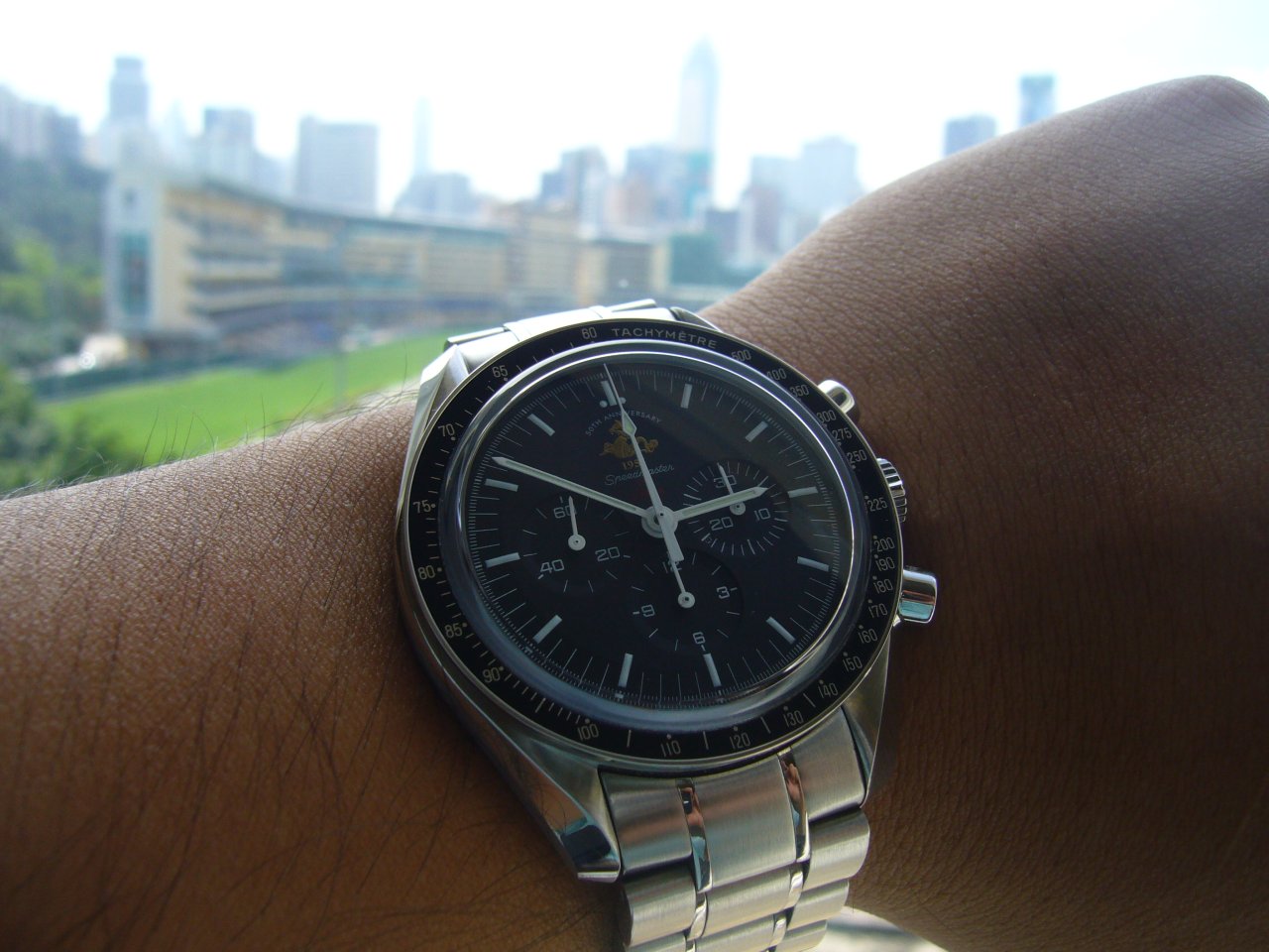 Speedy 50th Anniversary