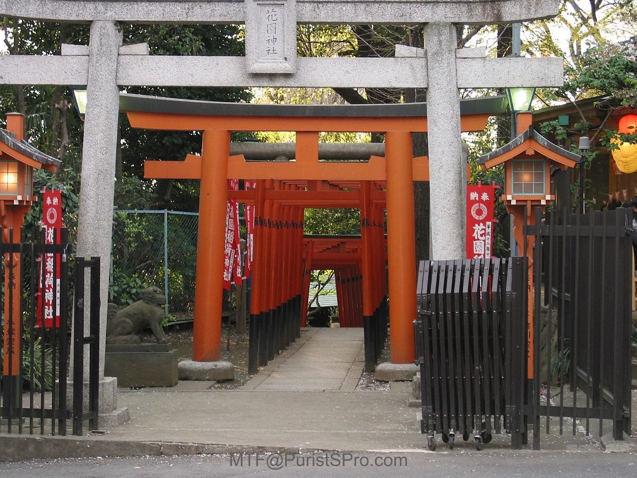 Hanami season in Ueno
