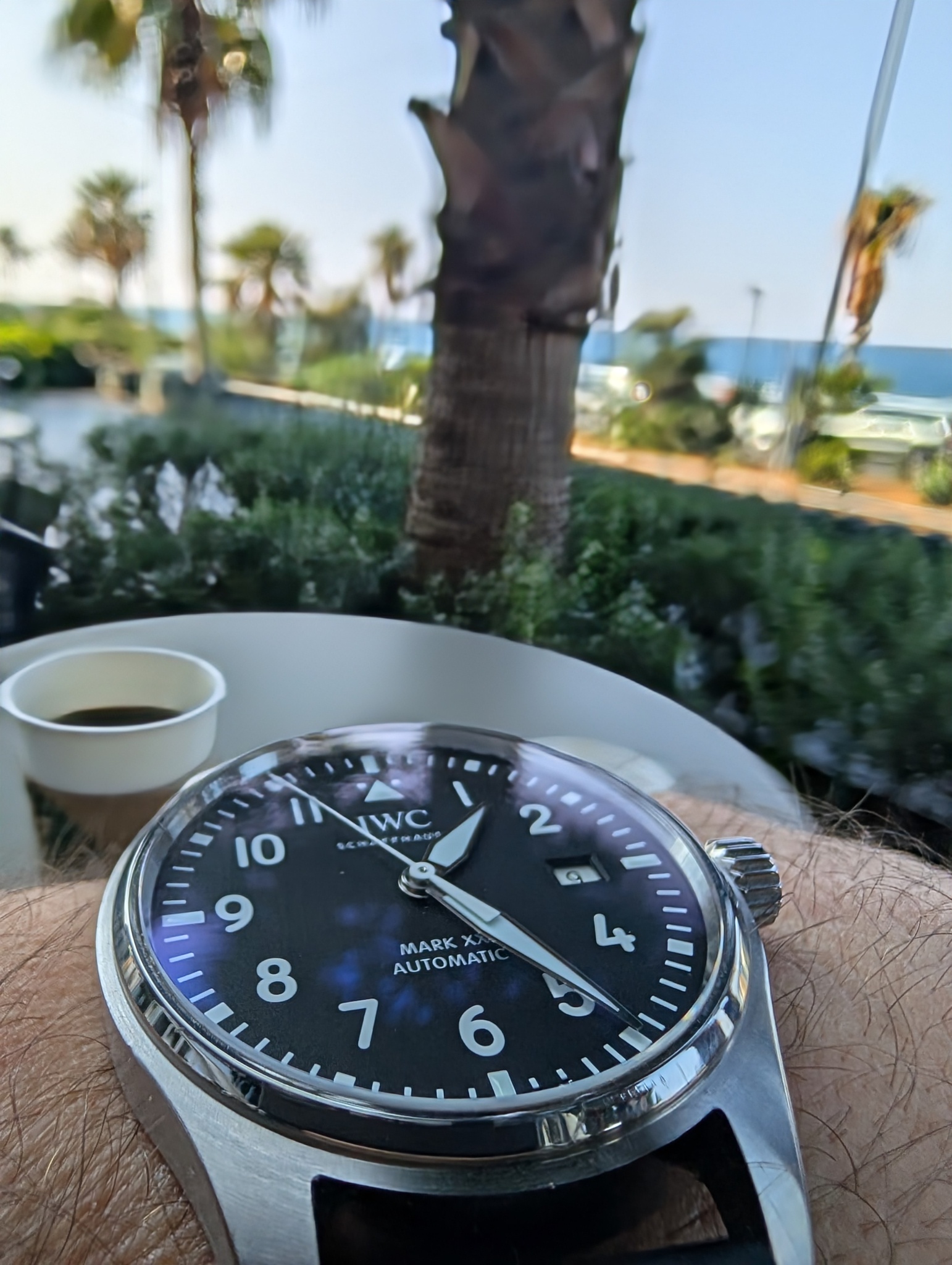 Watch by IWC, Pilot, Mark series, Mark XX