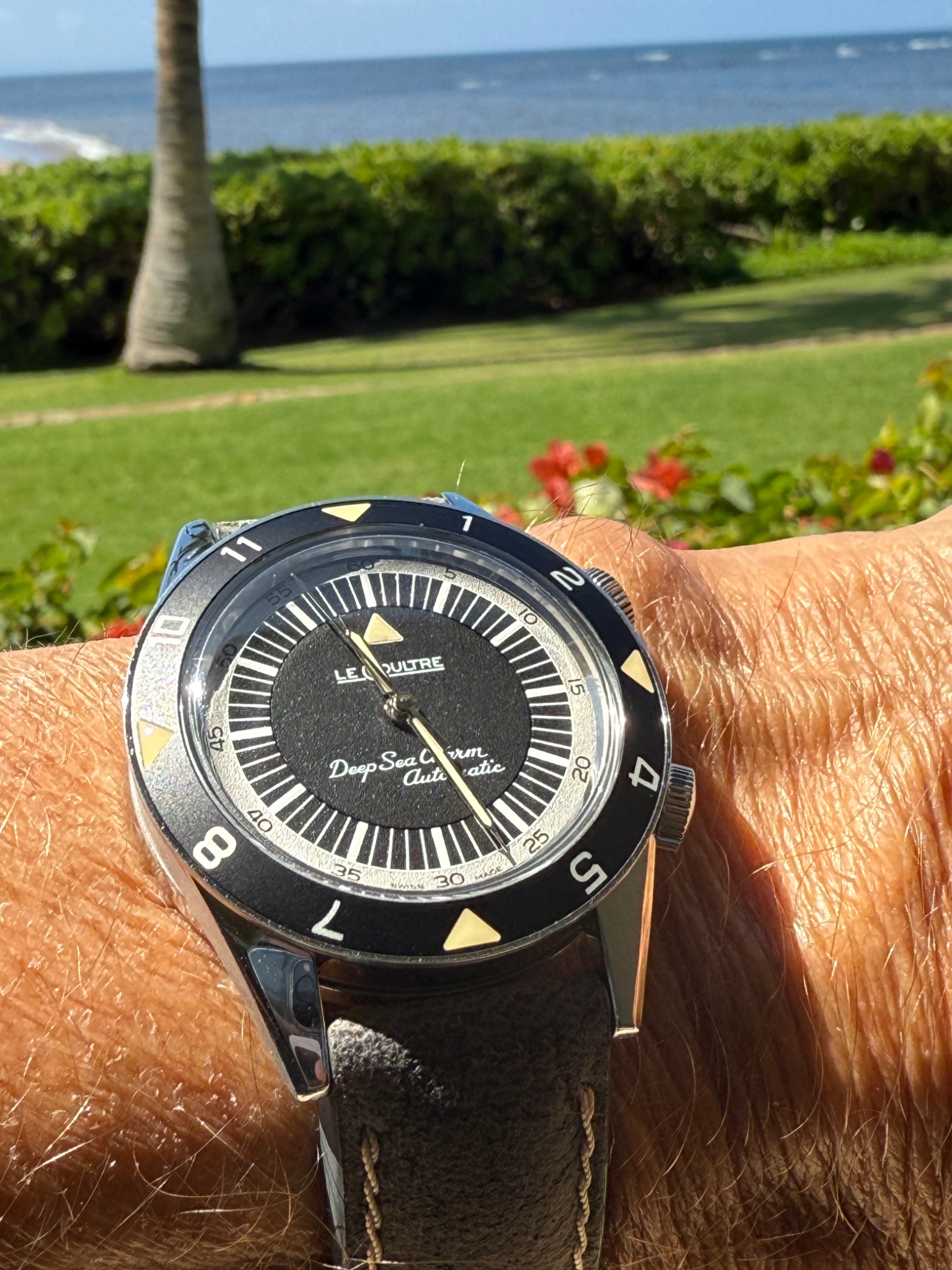 Watch by Jaeger LeCoultre, Jaeger-LeCoultre, Memovox,  Tribute to Deep Sea , TTDSA