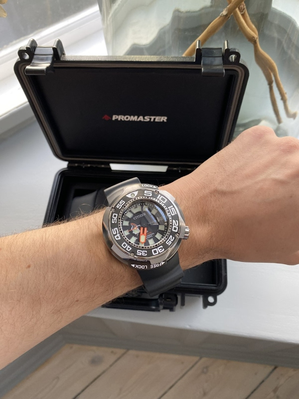 Citizen watch listing