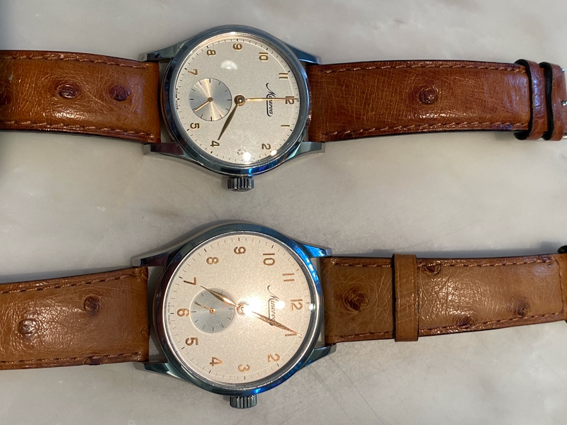 Minerva watch listing