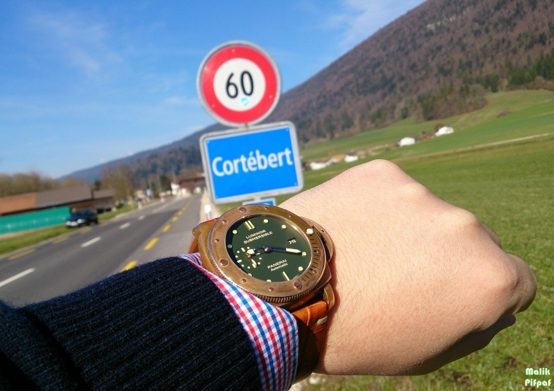 Panerai watch listing