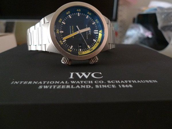 IWC watch listing