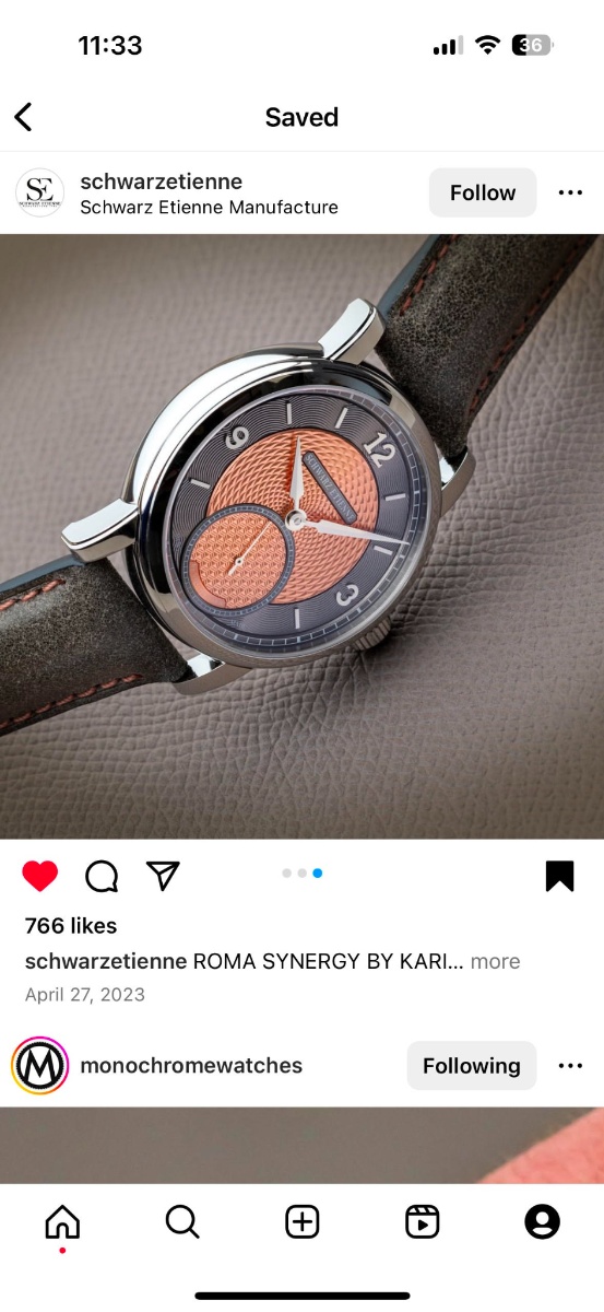 Schwarz Etienne watch listing