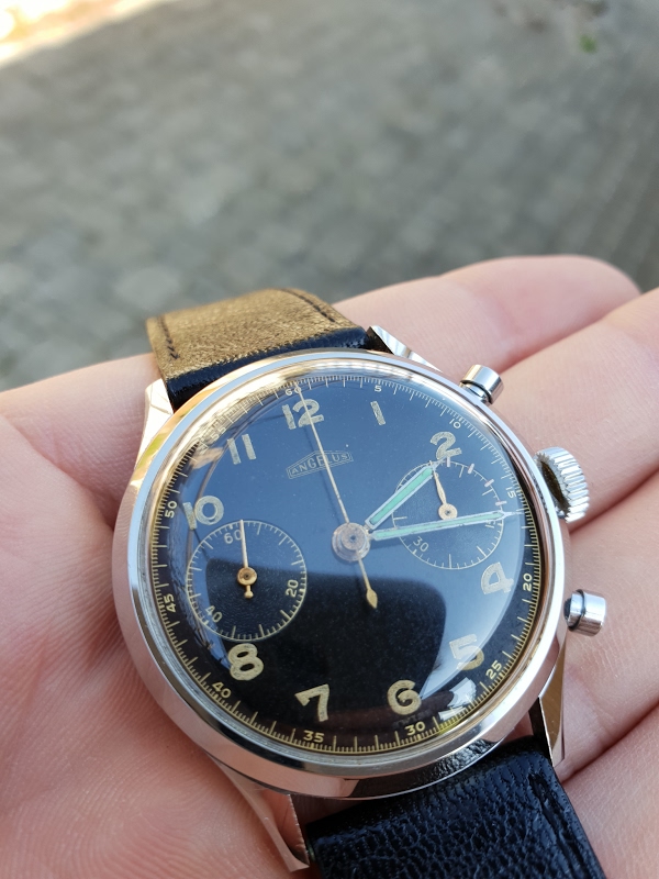 Angelus watch listing