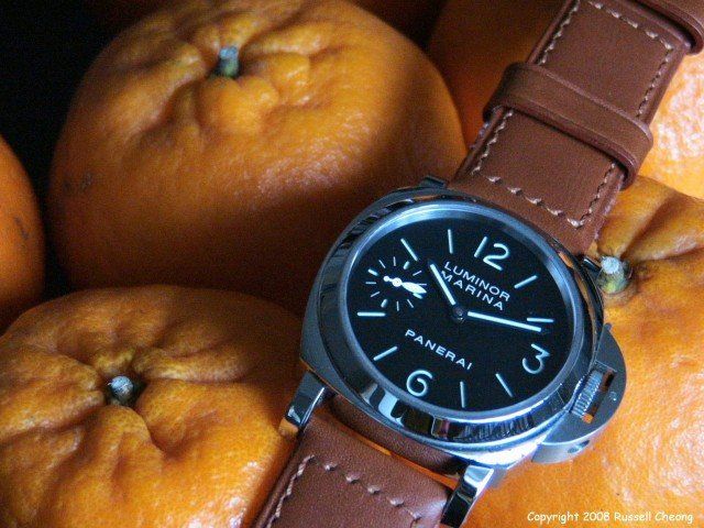 Panerai watch listing