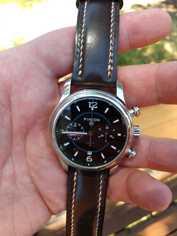 Pinion watch listing