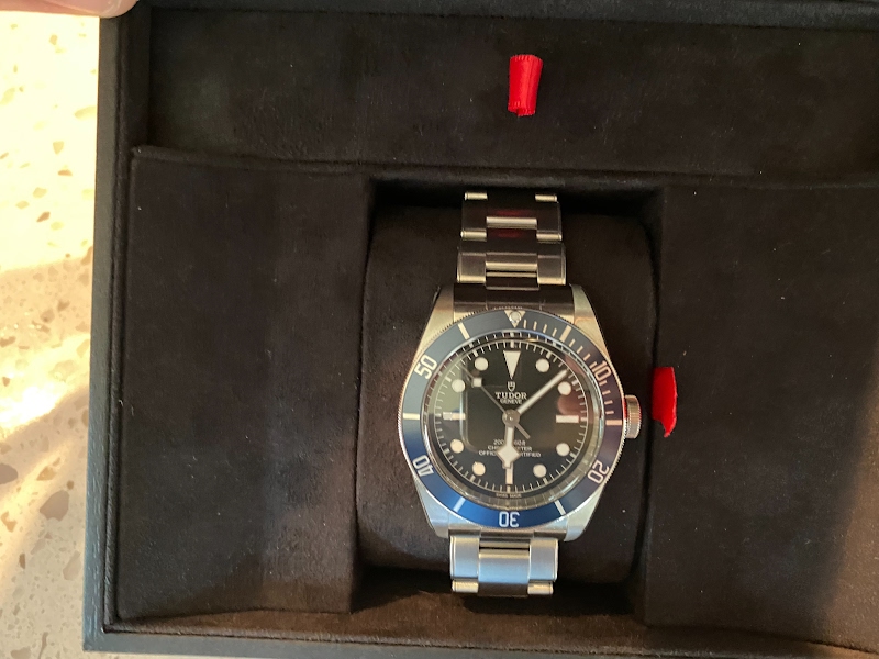Tudor watch listing