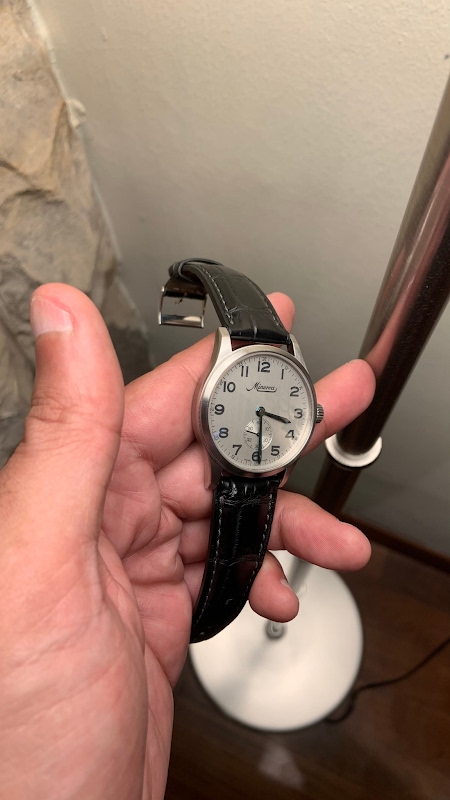 Minerva watch listing