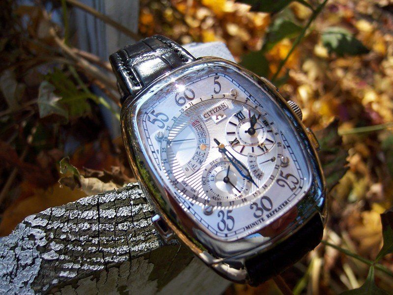 Citizen watch listing