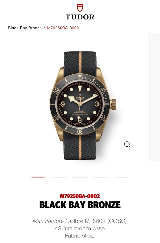 Tudor watch listing